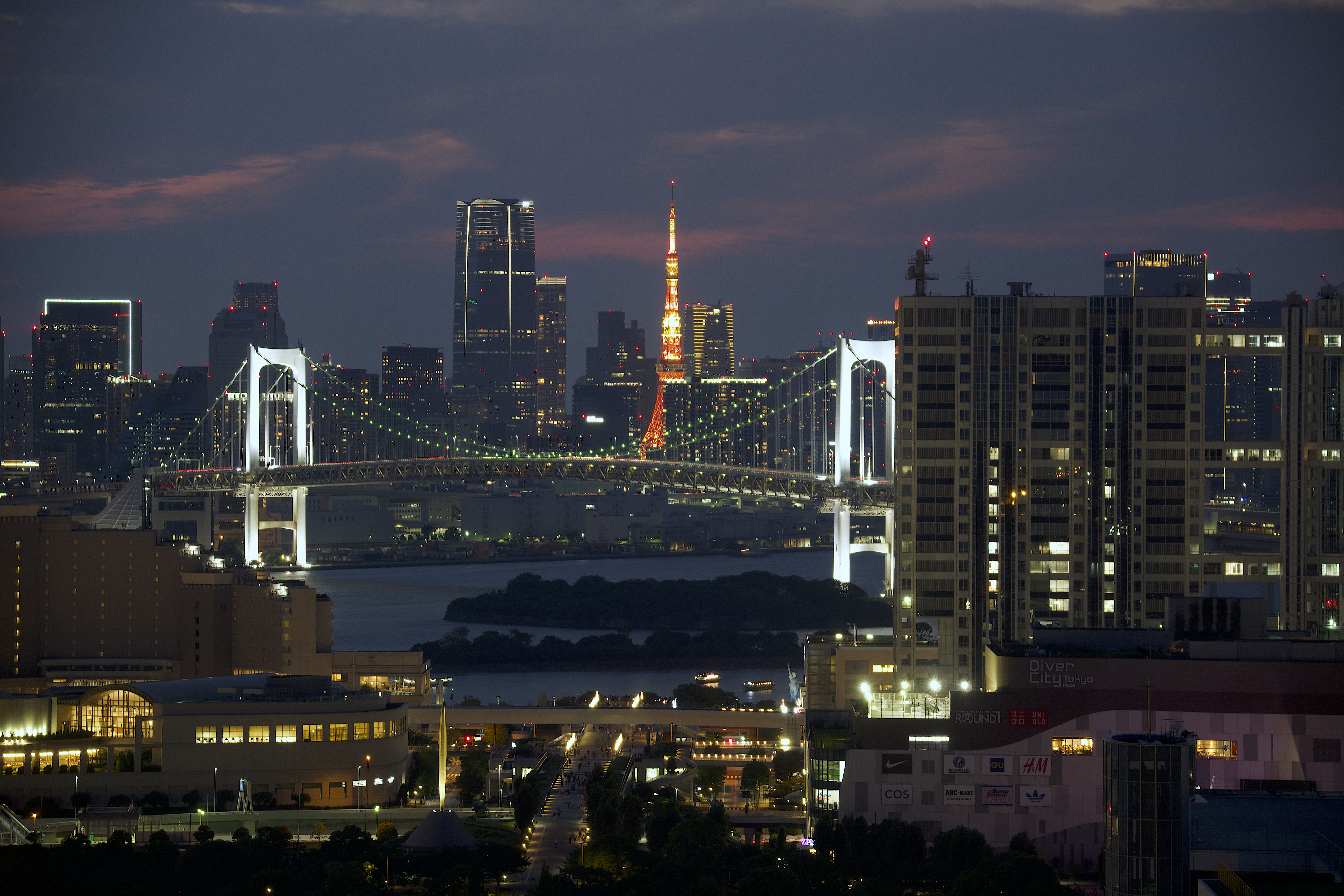 Tokyo Tower Night View from Odaiba